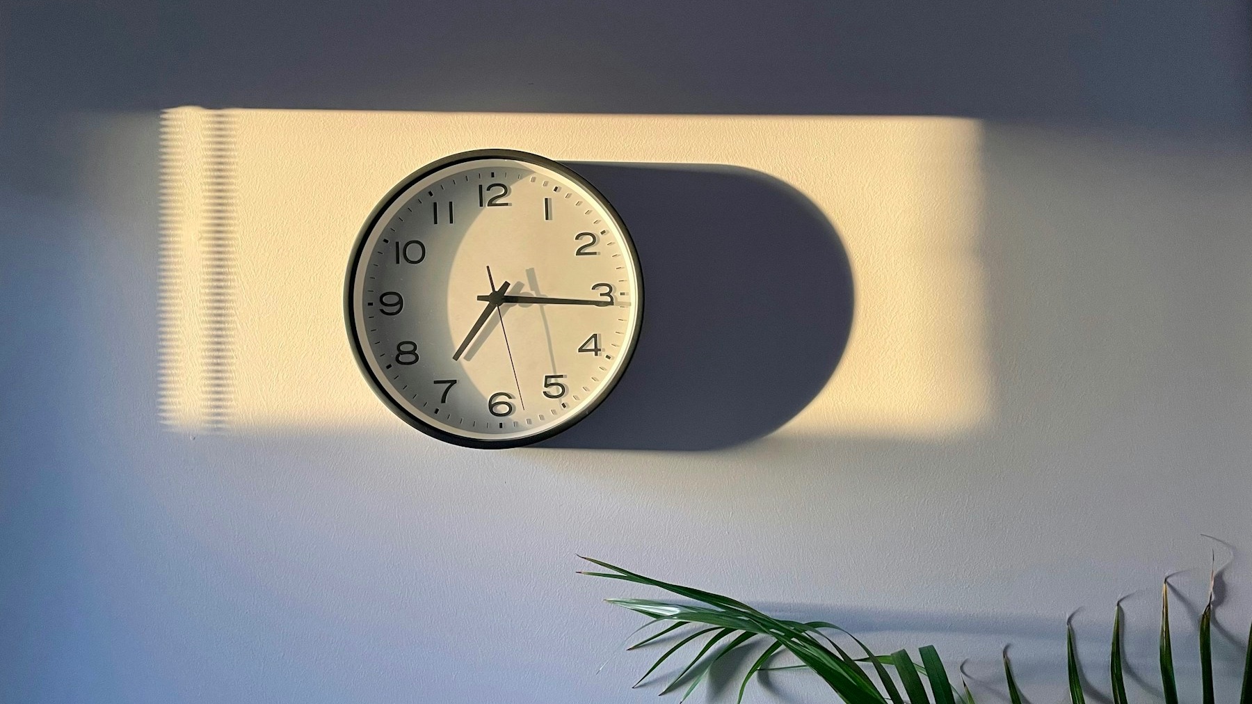 Vücudun Enerji Takvimi