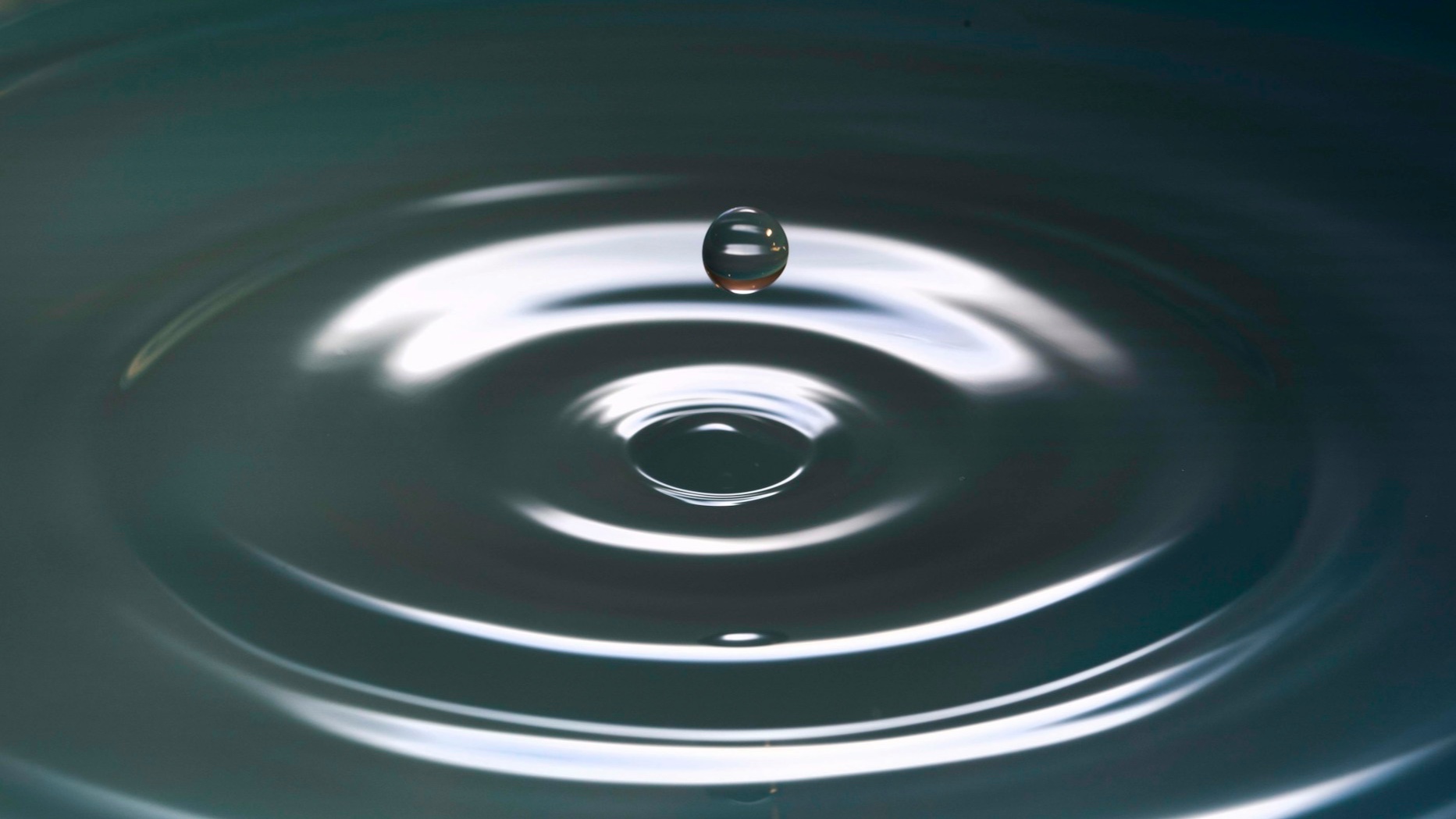 Beyni Fit Tutmak Beyni Fit Tutmak