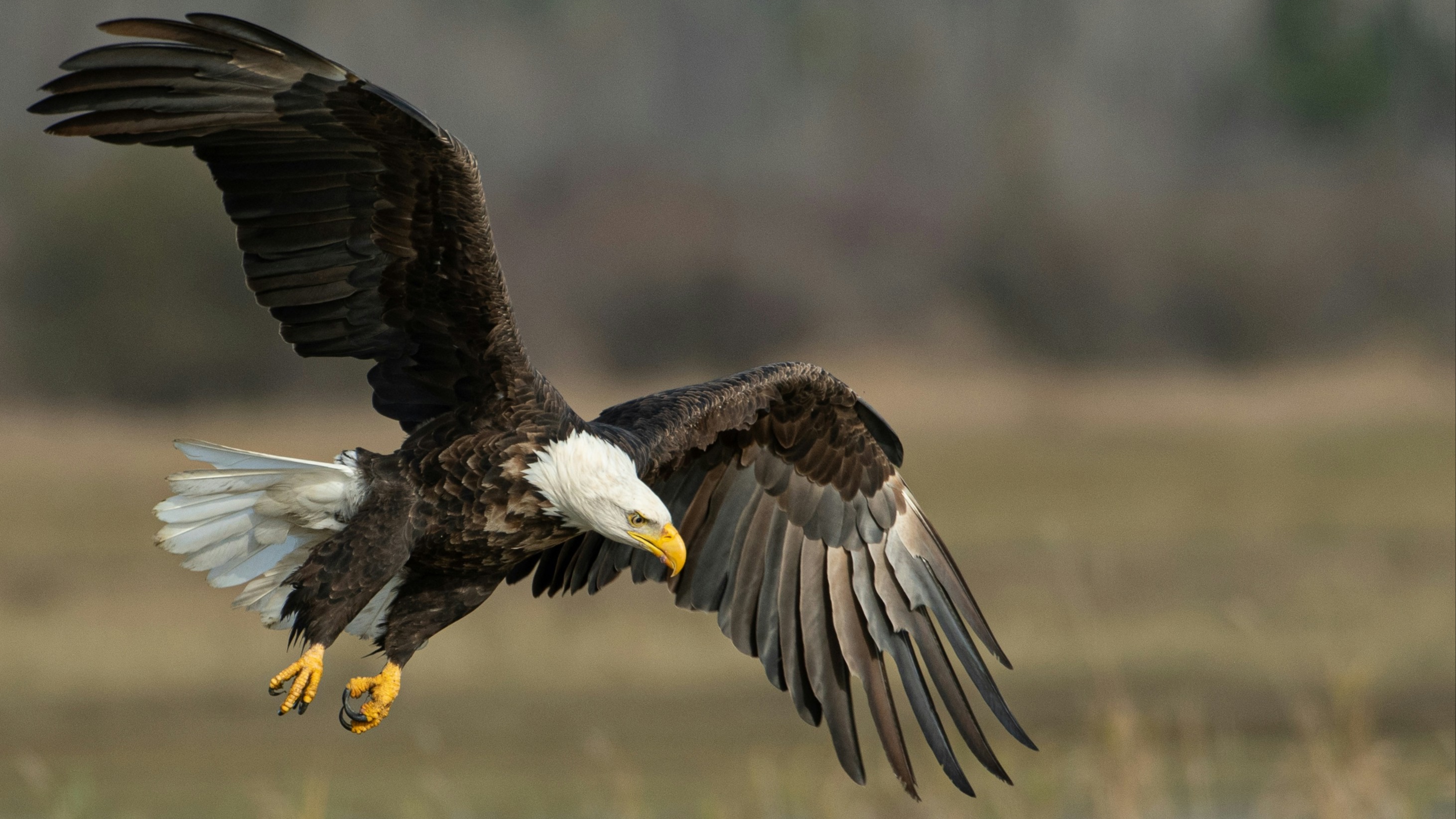 Göz ve Cilt Sağlığının Temeli: A Vitamini