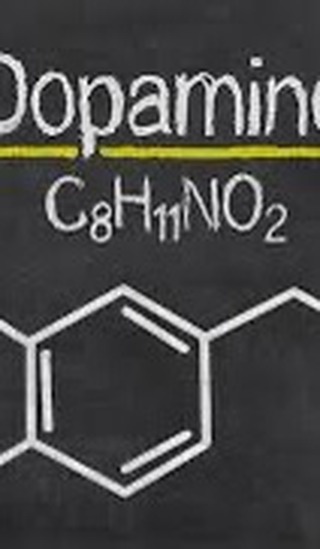 Dopamin+-+Seratonin%E2%80%A6+K%C4%B1sa+t%C3%BCketici+keyifler%2C+uzun+vadeli+ger%C3%A7ek+mutluluklar%E2%80%A6