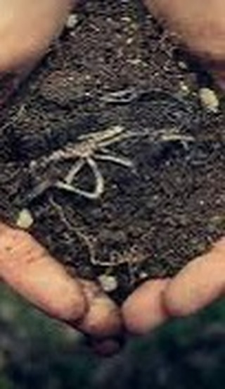 Topraklanman%C4%B1n+v%C3%BCcudumuz+i%C3%A7in+faydalar%C4%B1%21