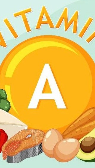 Ayr%C4%B1nt%C4%B1lar+ve+devam%C4%B1%2C+YouTube+uzun+videoda%21+YouTube+linki%F0%9F%93%8D+bio%E2%80%99da..%0A%0AA+vitamini+do%C4%9Fada+tek+ba%C5%9F%C4%B1na+bulunmaz%2C+hayvansal+ve+bitkisel+g%C4%B1dalar+